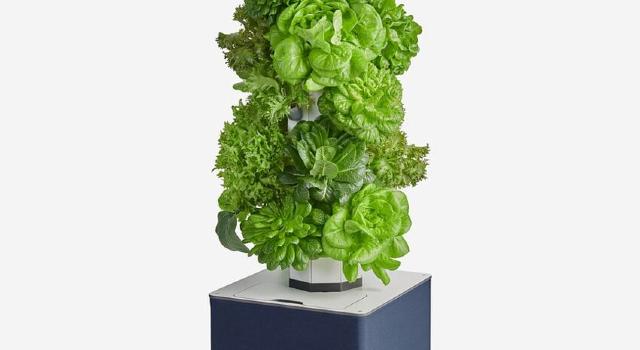 Swiss Startup - FrugalTec Product Image