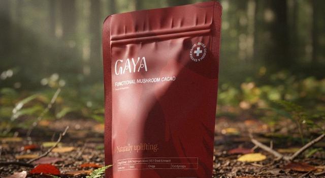 Swiss Startup - GAYA Earth Main Image