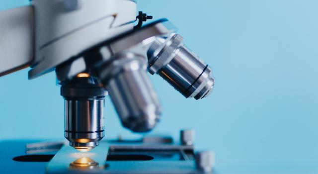 Swiss Startup - GaDia Additional Image