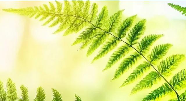 Swiss Startup - Greencheck Biotech Additional Image