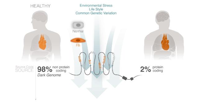 Swiss Startup - HAYA Therapeutics Product Image