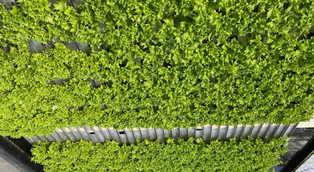 Swiss Startup - Hyswiss Product Image