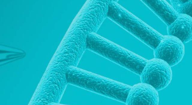 Swiss Startup - ID-Gene Ecodiagnostics Main Image