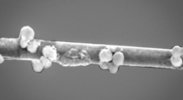 Swiss Startup - Incaptek Additional Image