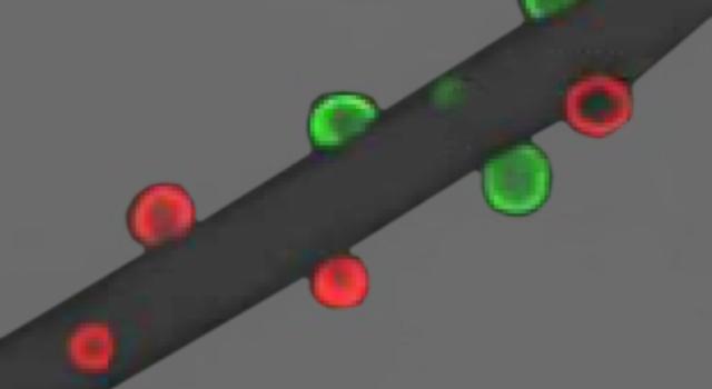 Swiss Startup - Incaptek Product Image