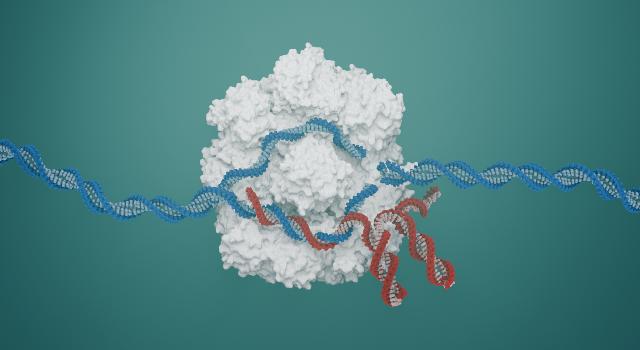 Swiss Startup - Immitra Bio Additional Image