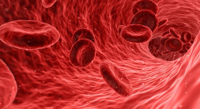 Swiss Startup - Immitra Bio Main Image