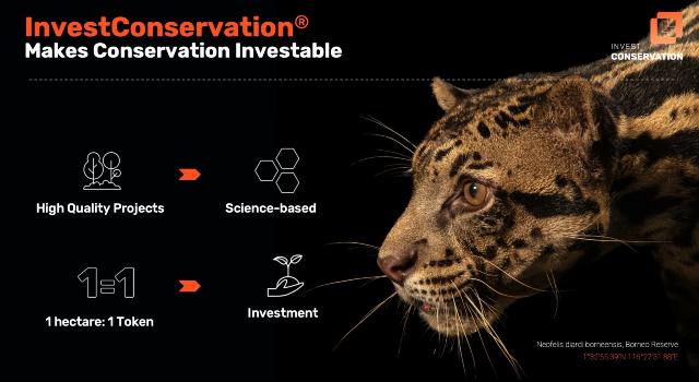 Swiss Startup - Invest Conservation Additional Image