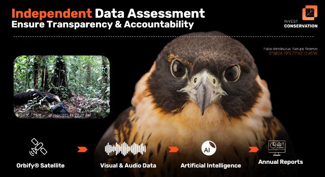 Swiss Startup - Invest Conservation Product Image