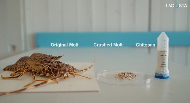 Swiss Startup - LAGOSTA SA  Product Image