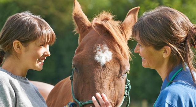 Swiss Startup - LiVET Main Image