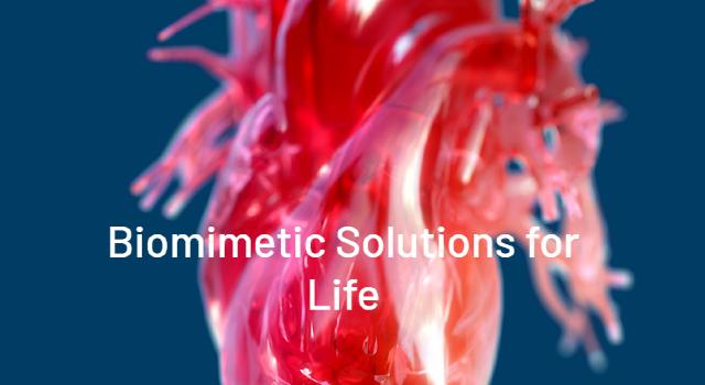 Swiss Startup - LifeMatrix Technologies Main Image