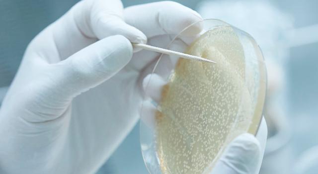 Swiss Startup - LimmaTech Biologics Additional Image