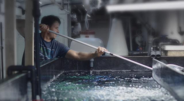 Swiss Startup - Lucky Shrimp Main Image