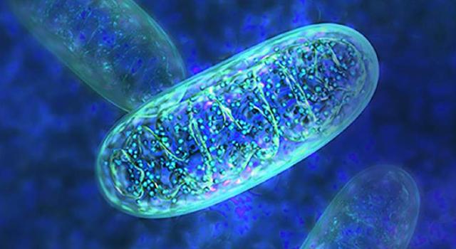 Swiss Startup - MPC Therapeutics Main Image