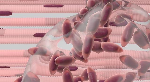 Swiss Startup - MUVON Therapeutics Product Image