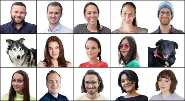 Swiss Startup - Marko Switzerland Team Image