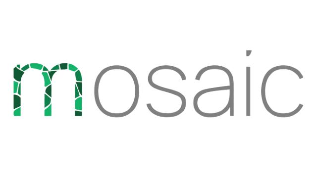 Mosaic SoC AG