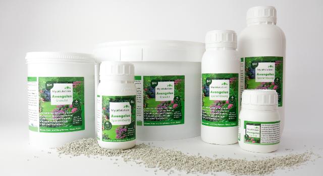 Swiss Startup - MycoSolutions Main Image