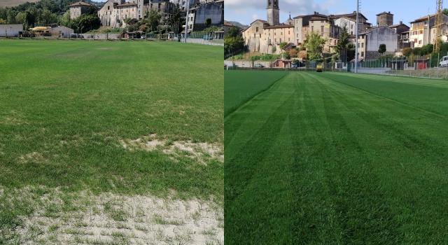 Swiss Startup - MycoSolutions Team Image