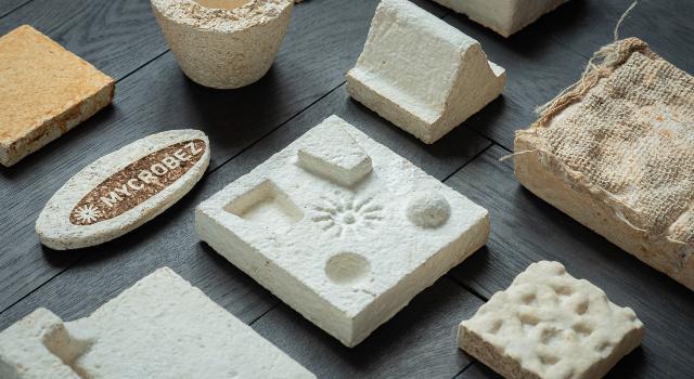 Swiss Startup - Mycrobez Additional Image