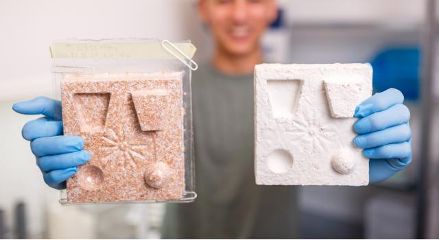 Swiss Startup - Mycrobez Team Image