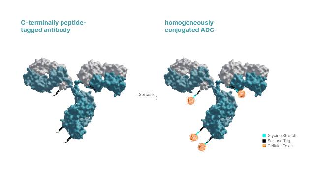 Swiss Startup - NBE-Therapeutics  Product Image