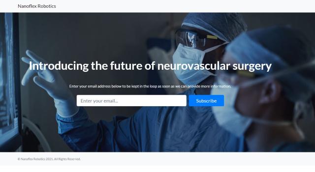 NanoFlex Robotics AG