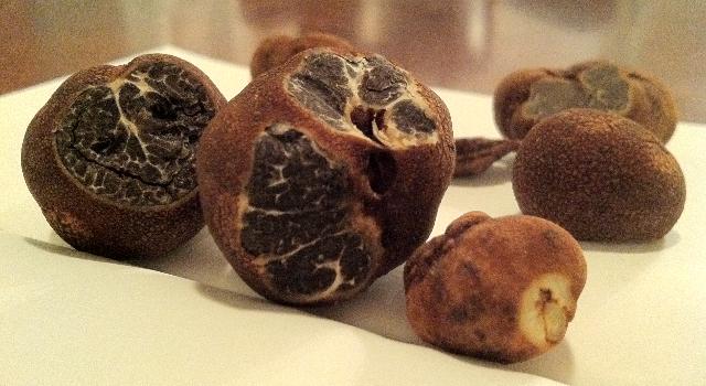 Upcycled & fermented cosmetics ingredients - Nectariss Sàrl