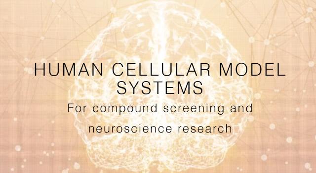 Swiss Startup - Neurix Main Image