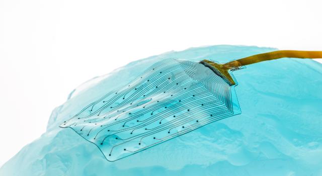 Swiss Startup - Neurosoft Bioelectronics Main Image
