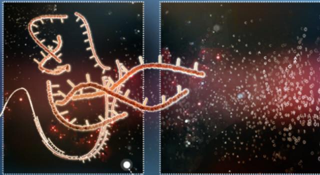 Swiss Startup - Novigenix Main Image