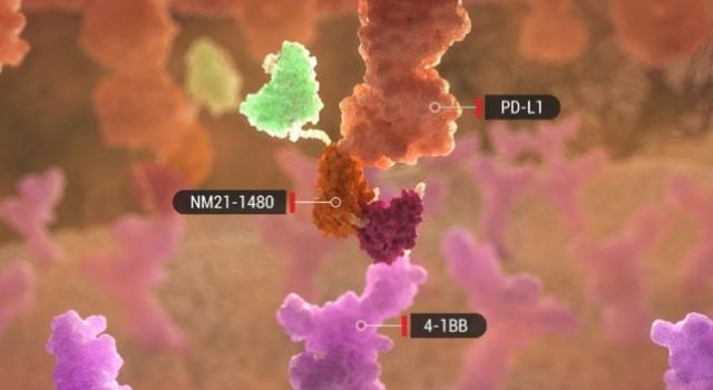 Swiss Startup - Numab Therapeutics Main Image