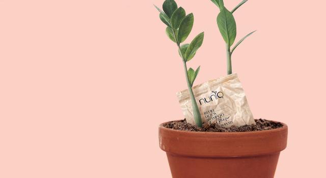 Swiss Startup - Nuniq Beauty Additional Image