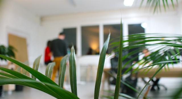 Swiss Startup - Octree Product Image