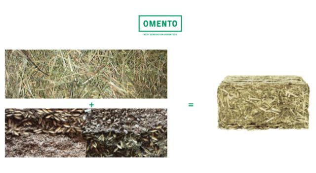 Swiss Startup - Omento Main Image