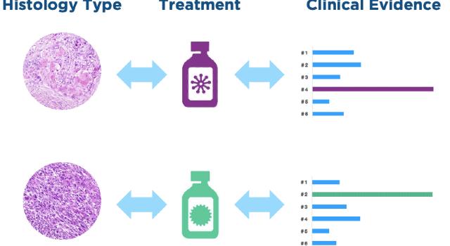 Swiss Startup - OncoGenomX Additional Image