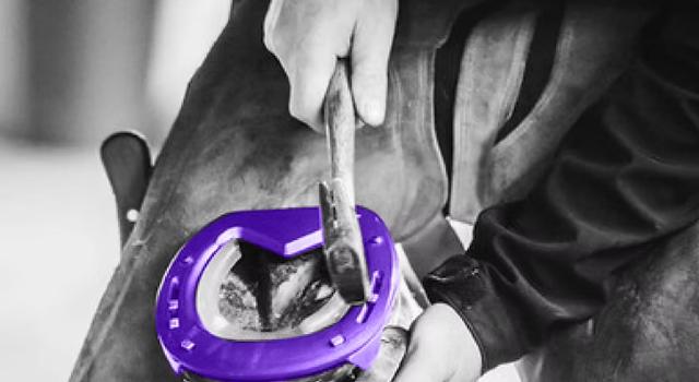 Swiss Startup - Orion Horse Shoes Main Image