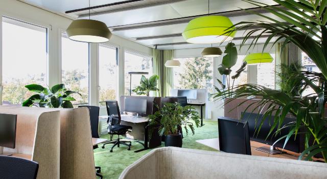 Swiss Startup - Oxygen at Work AG  Product Image