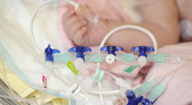 Swiss Startup - PEDeus Main Image