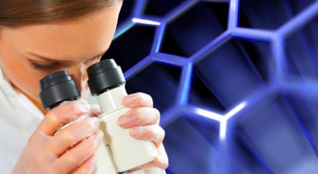 Swiss Startup - PHASIS Main Image