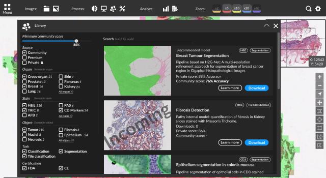 Swiss Startup - Pathy SARL Product Image