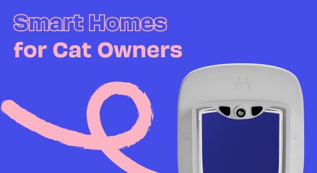 Swiss Startup - Pawly Main Image