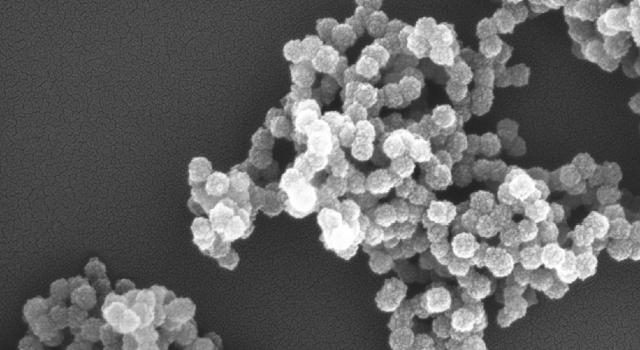 Swiss Startup - Perseo pharma Product Image