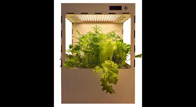 Swiss Startup - Pleasant Plants GmbH  Additional Image