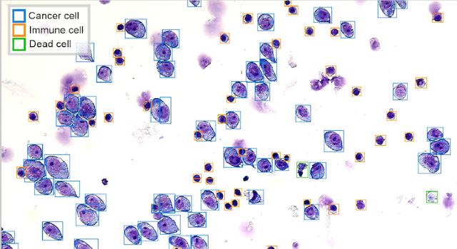 Swiss Startup - Prevision Medicine Main Image