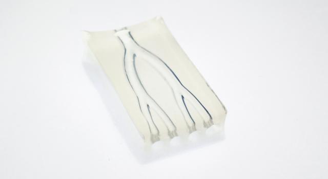 Swiss Startup - Readily3D Additional Image