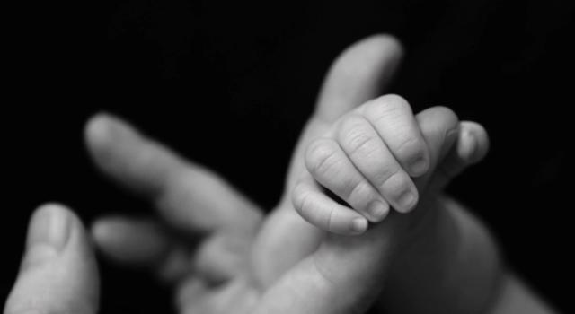 Swiss Startup - ReproNovo Product Image