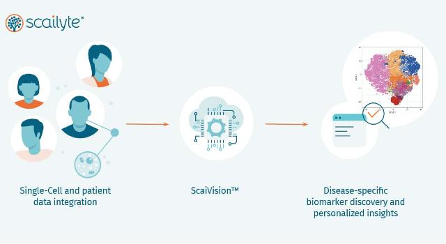 Swiss Startup - Scailyte Product Image
