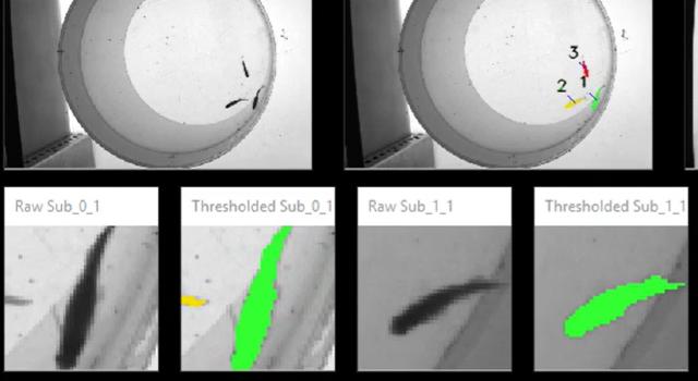 Swiss Startup - SciTrackS Main Image